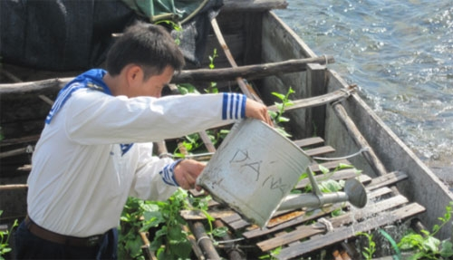 Vitality on Spratly Islands